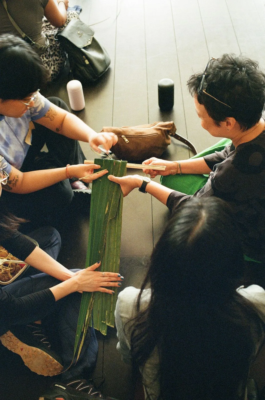 Thinking with Nipa palms workshop