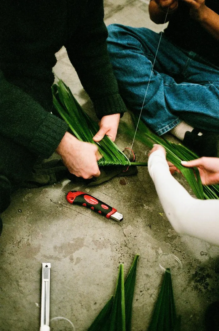 Transplanted Weavings