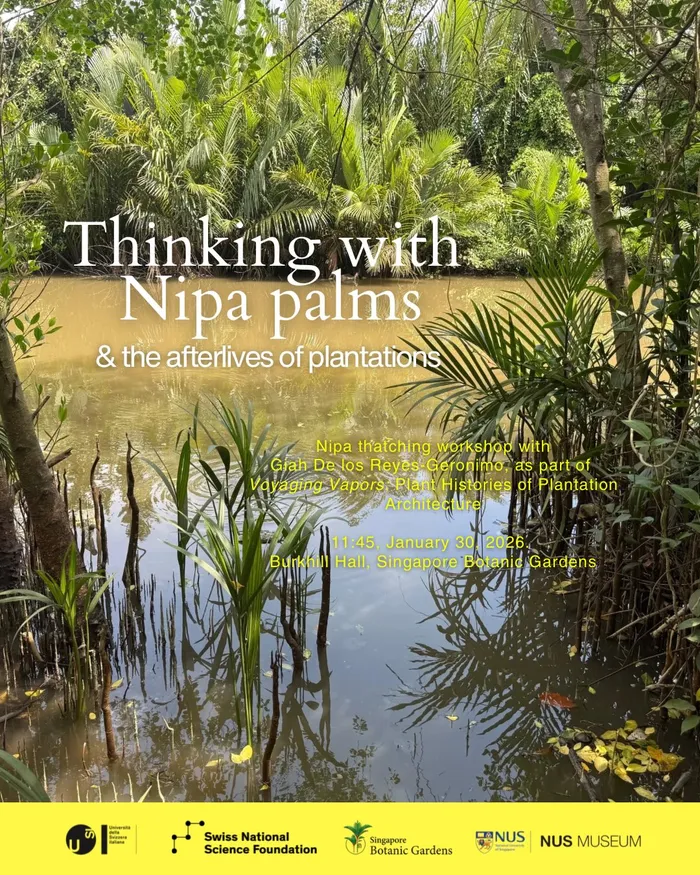 Thinking with Nipa palms & the afterlives of plantations